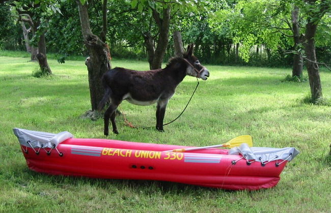 Studio House on Hof Jumne - Foto 20