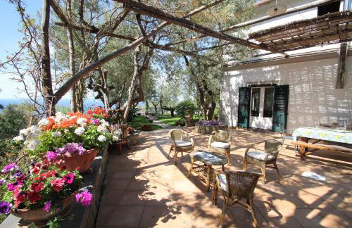 Tenuta Camporosso - Photo 4