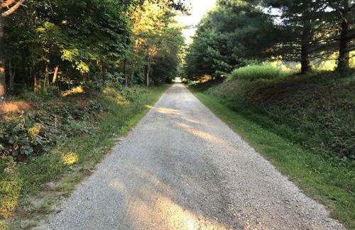 Three Springs Plus - Foto 32