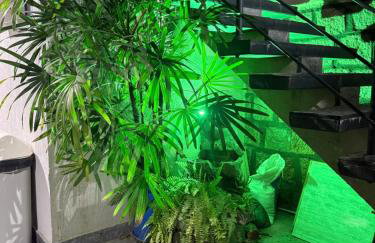 Apto surfe perto de tudo, mercado, barzinhos, farmácia, shopping - Foto 15