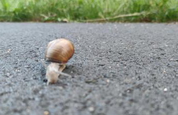 Żurawisko - Domki wśród natury - Foto 41