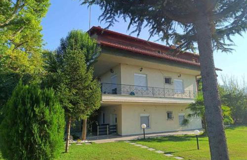 SPIROS APARTMENTS - Foto 11