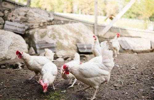 La Majun Fornellahof - Photo 64