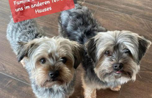 Auszeit im Jugendstil - Foto 28