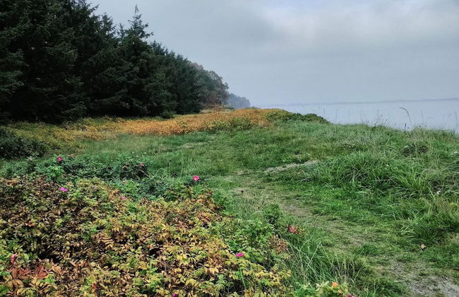 6 Person Holiday Home in Thyholm - Foto 18