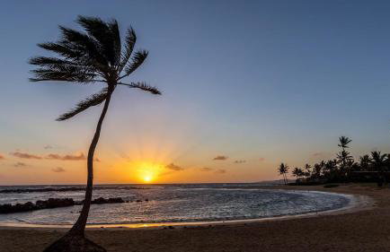 Poipu Makai Villas C1 - Foto 53