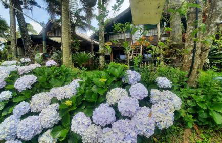 Chalé Pakere Montanha Lumiar - Conforto a mais de 1000 metros de altitude junto a natureza, wifi, piscina, sauna e água de nascente - locação do chalé sem prestação de serviços - Foto 68