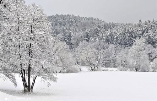 Mediterran-Skandinavisch-2 - Foto 18