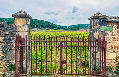 Escapade Chambertine au cœur de Gevrey-Chambertin - Foto 27