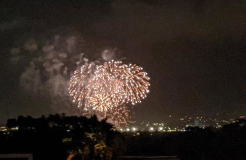 Comfy Bay Park Cottage close to Everything! - Foto 27