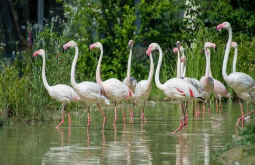 Kronenburger Comfort Bungalow - Foto 29