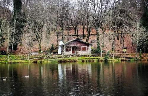 Estudio Camelia - Foto 41