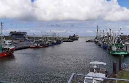FeWo-Butze 3 Deichblick Strandnähe ca. 750m - Foto 17