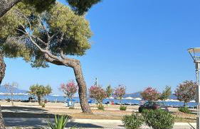 Mimika studios - Foto 13