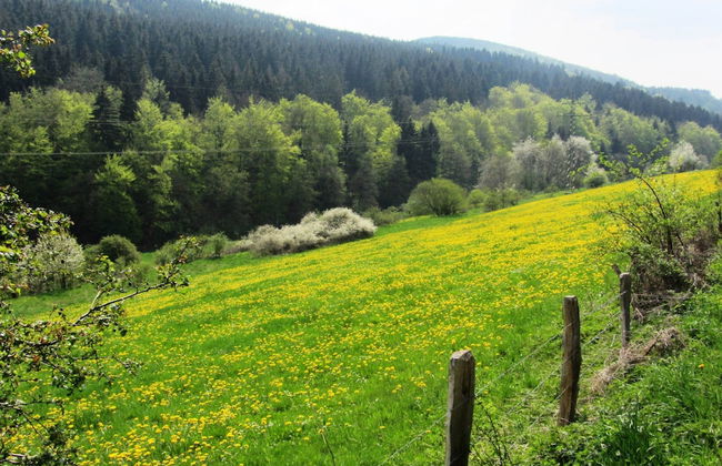 Garden-view Villa in Medebach Kustelberg - Foto 28