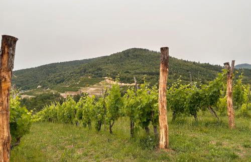 Historic Farmhouse Casa Del Chiodo - Foto 22
