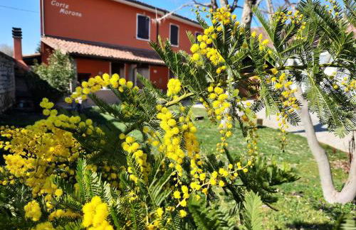 CORTE MORONA - Foto 39