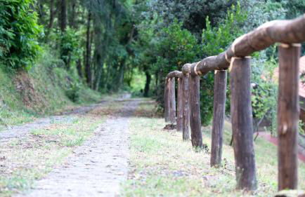 La casa del bosco - Foto 38