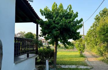 Villa Dimitris - Photo 28