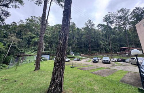 Serra Premium Flat - Foto 20