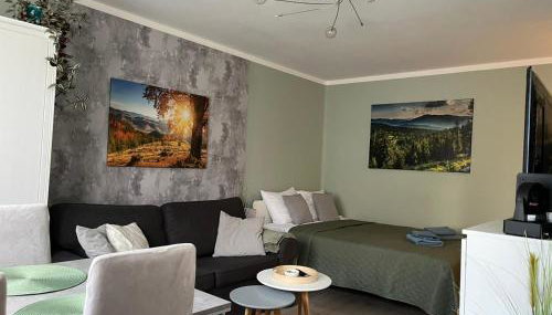 Apartament Piaskowa Mountain & Coffee - Foto 4