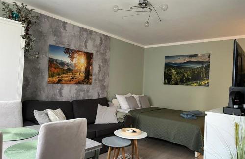 Apartament Piaskowa Mountain & Coffee - Foto 4