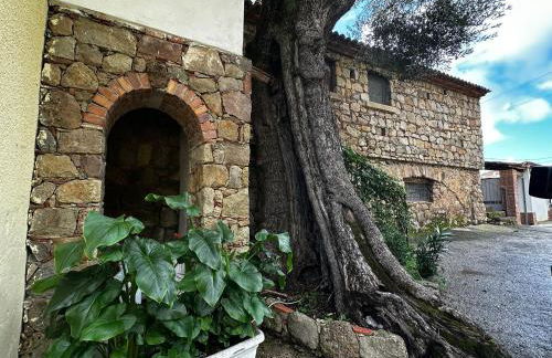 Tenuta Donna Carmela - Photo 19