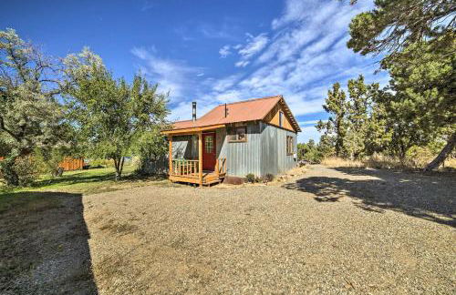 Idyllic Dolores Cabin with Fire Pit and Lake Views! - Foto 21