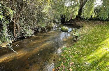 Totally Private, idyllic House with hot tub in an acre of private gardens - Foto 3