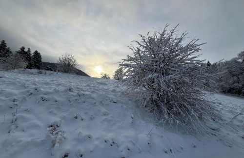Ferienapartments Försterei Eibenstock - Foto 40