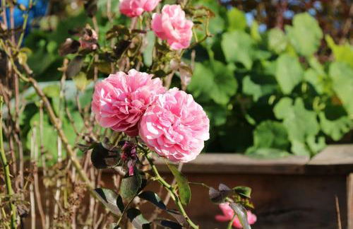 Ferienwohnung Pickl - Anna-Maria Pickl - Foto 1