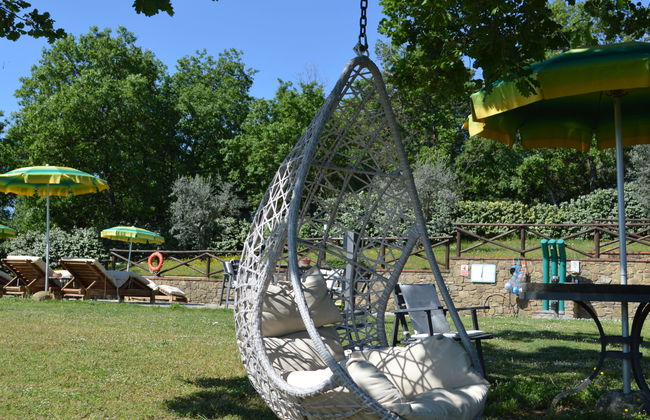 A spasso tra gli ulivi - Foto 40