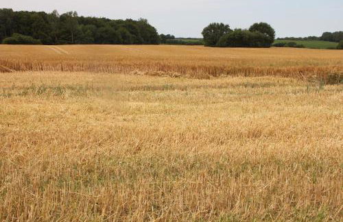 Ferienwohnung Zimmert - Photo 16