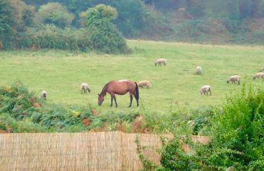 Le Pré de la Mer Le Gîte - Foto 52
