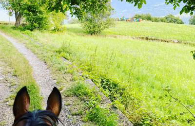 Casa Giuliana - Foto 27