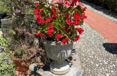 Agriturismo a Canonica - Foto 71