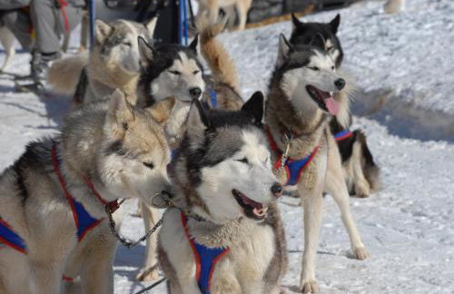 Chalet La Tanière 14 Pers - piscine chauffée et sauna - Vars Saint Marcellin - Foto 71