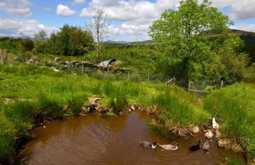 3 Bed in Dolgellau oc-wah569 - Foto 20