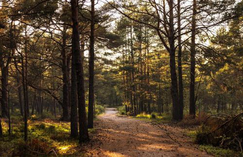 Dymnica 5- dom wakacyjny blisko Sasina i Łeby - Foto 53
