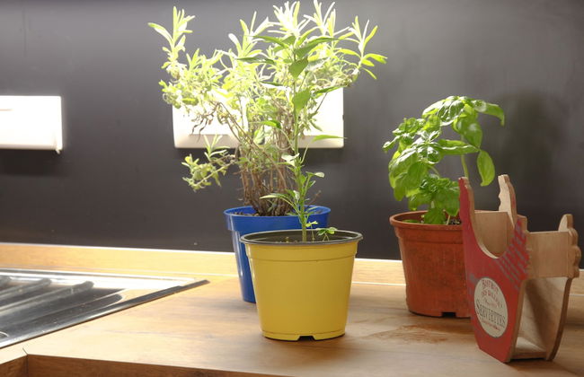 Secret Garden Via San Rocco - Flat in Bo - Foto 10