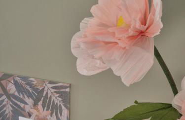 Clorophilla Guest House - Foto 4