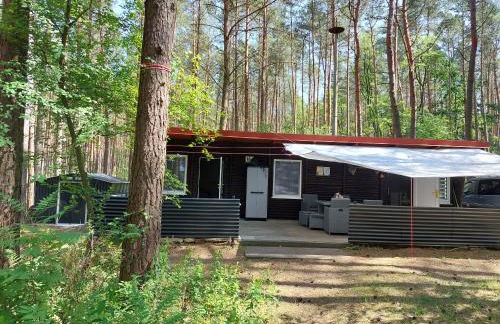 Ferienhaus im Wald Mecklenburgische Seenplatte - Foto 11