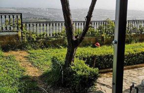 Apartman ANAMARIA - Foto 16