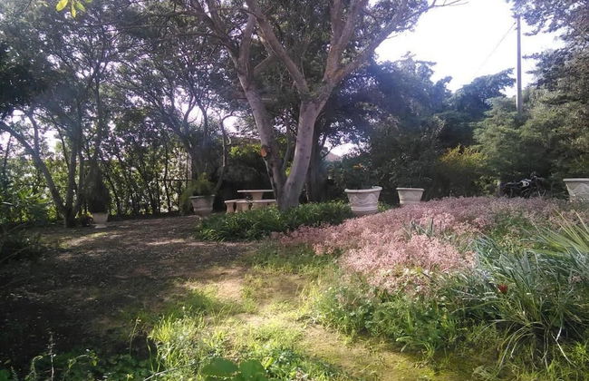 Nature Houses - Foto 37