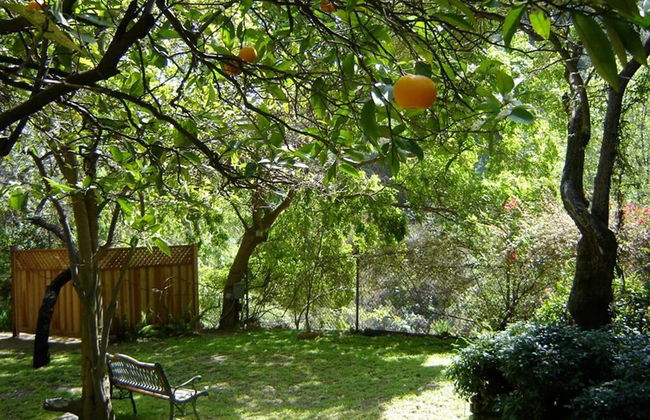 Hollywood Hills Canyon Breezes - Photo 23