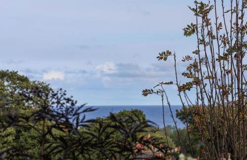 Maypole Cottage - Foto 37