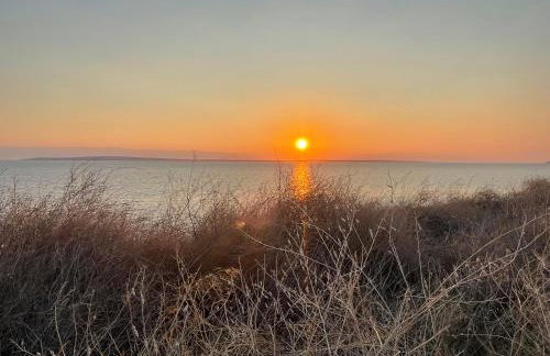 Loza Blue, Premuda island - Foto 19