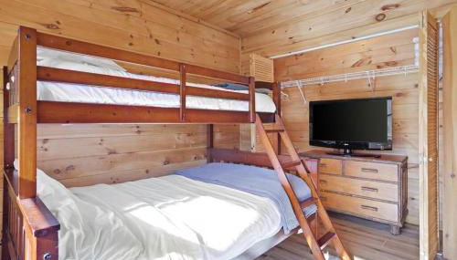 The Remedy at Blue Ridge - mountain view cabin with hot tub and two fire pits - Foto 4