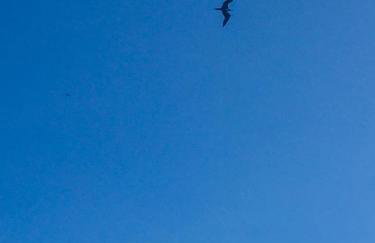 Apartamento Porto Beiramar - Foto 71