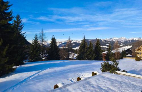 Stay at the heart of the slopes in Megève! - Foto 14